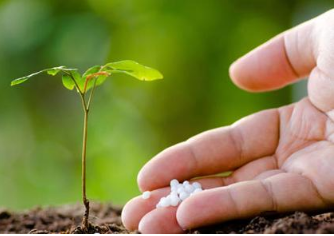 科學(xué)使用肥料的方法